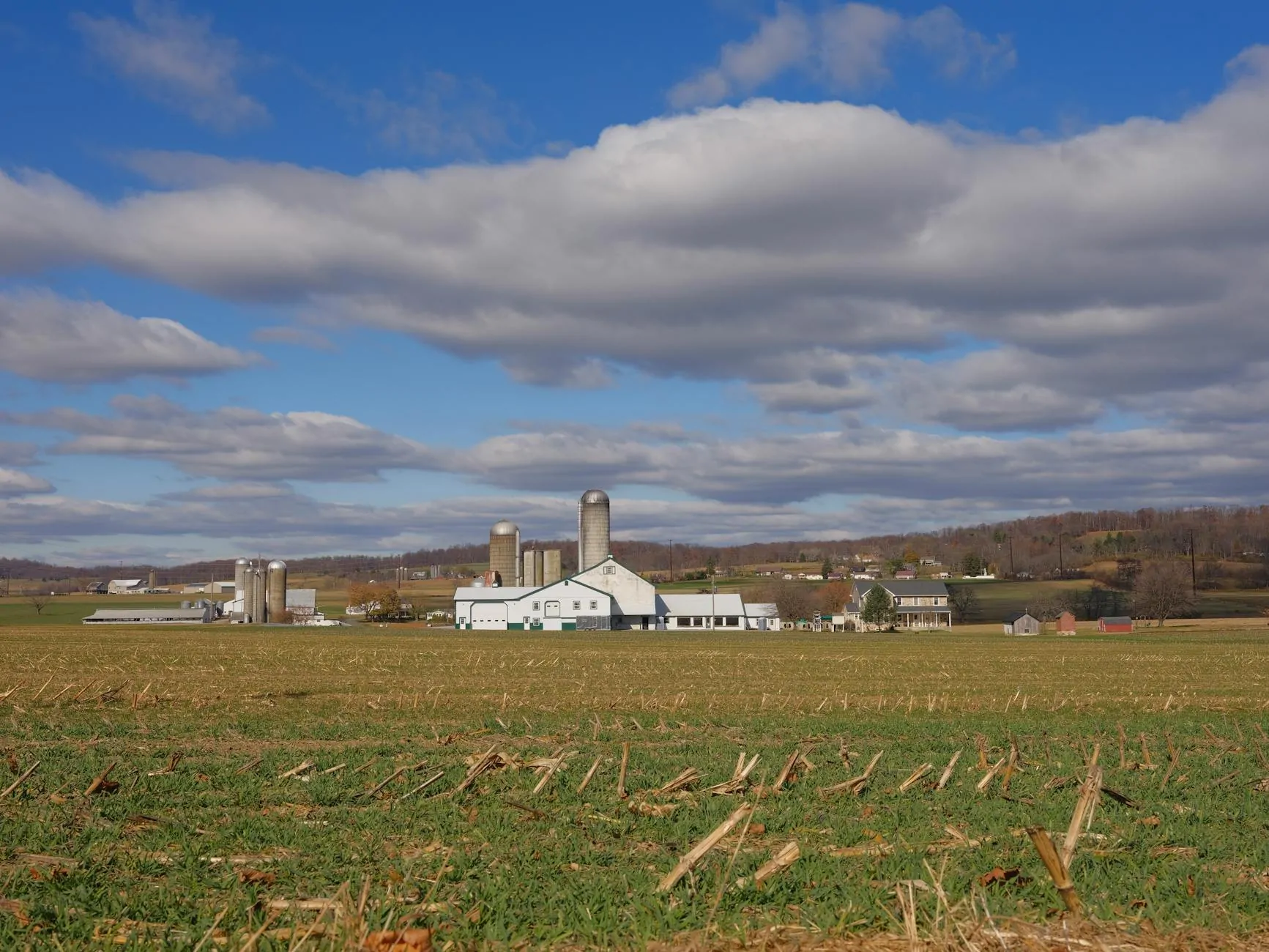 Philly Charters — Malvern