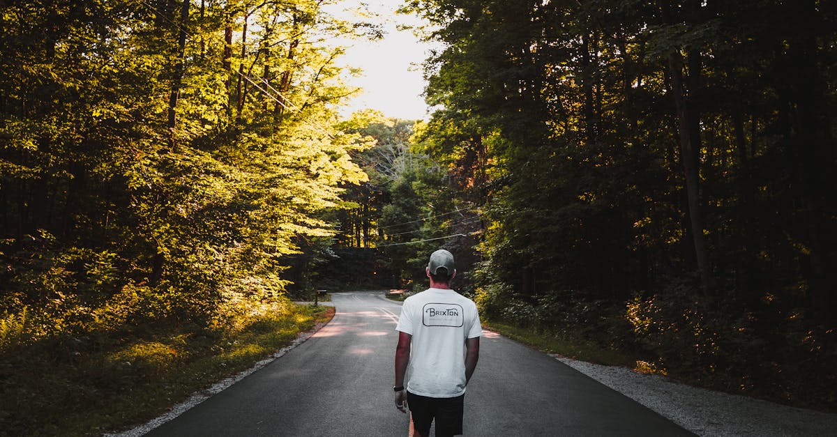 Top Healthy Road Trip Snacks