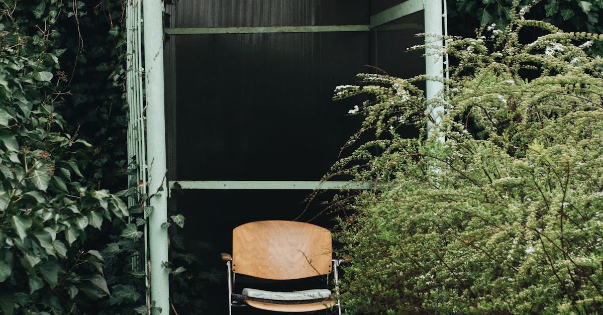 Leverage Yelp for Secret Spots