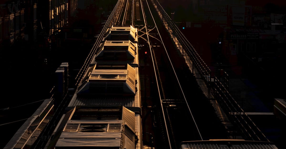 Top Upper Body Stretches for Buses