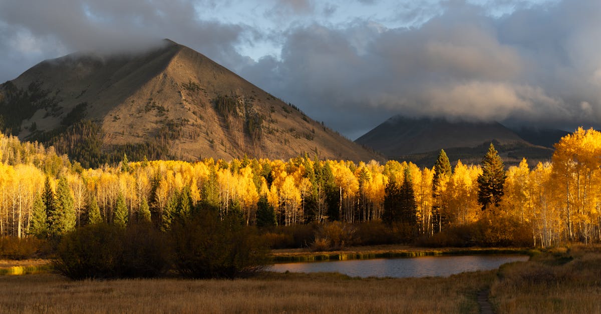 Top Hiking Trails in Utah