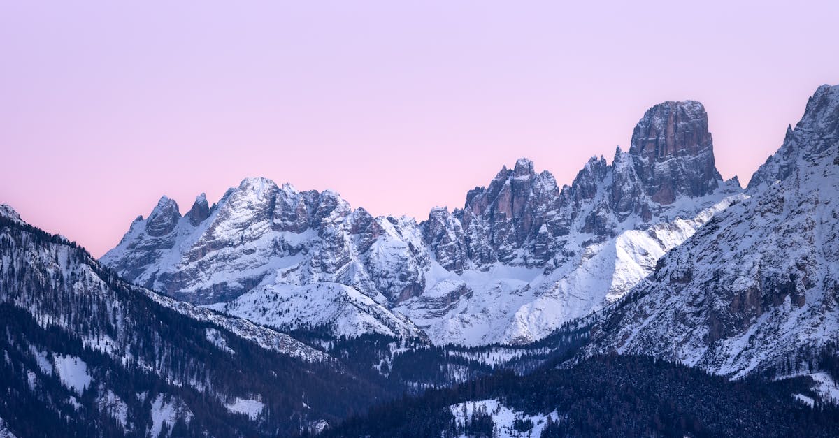 Top Favorites for Adventure