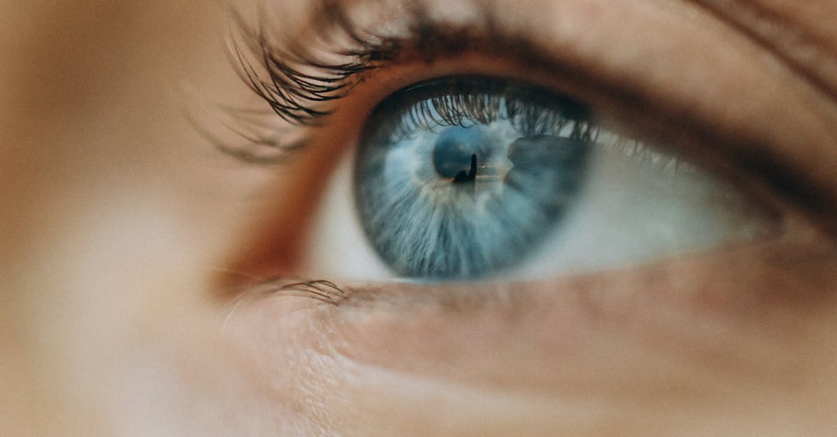 Highlighting Must-See Venues Nationwide