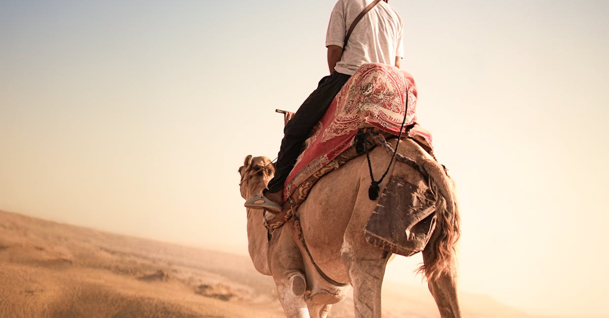 Explore Our Transportation Options